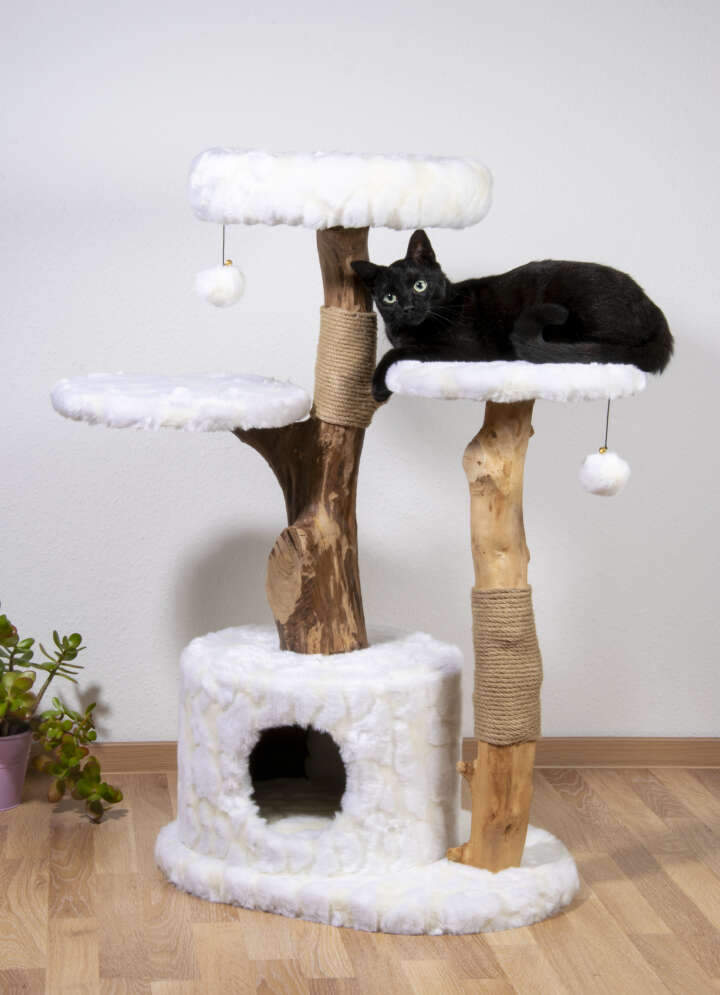 dobar Kratzbaum Frosty